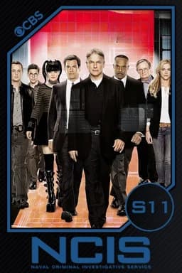 Season 11